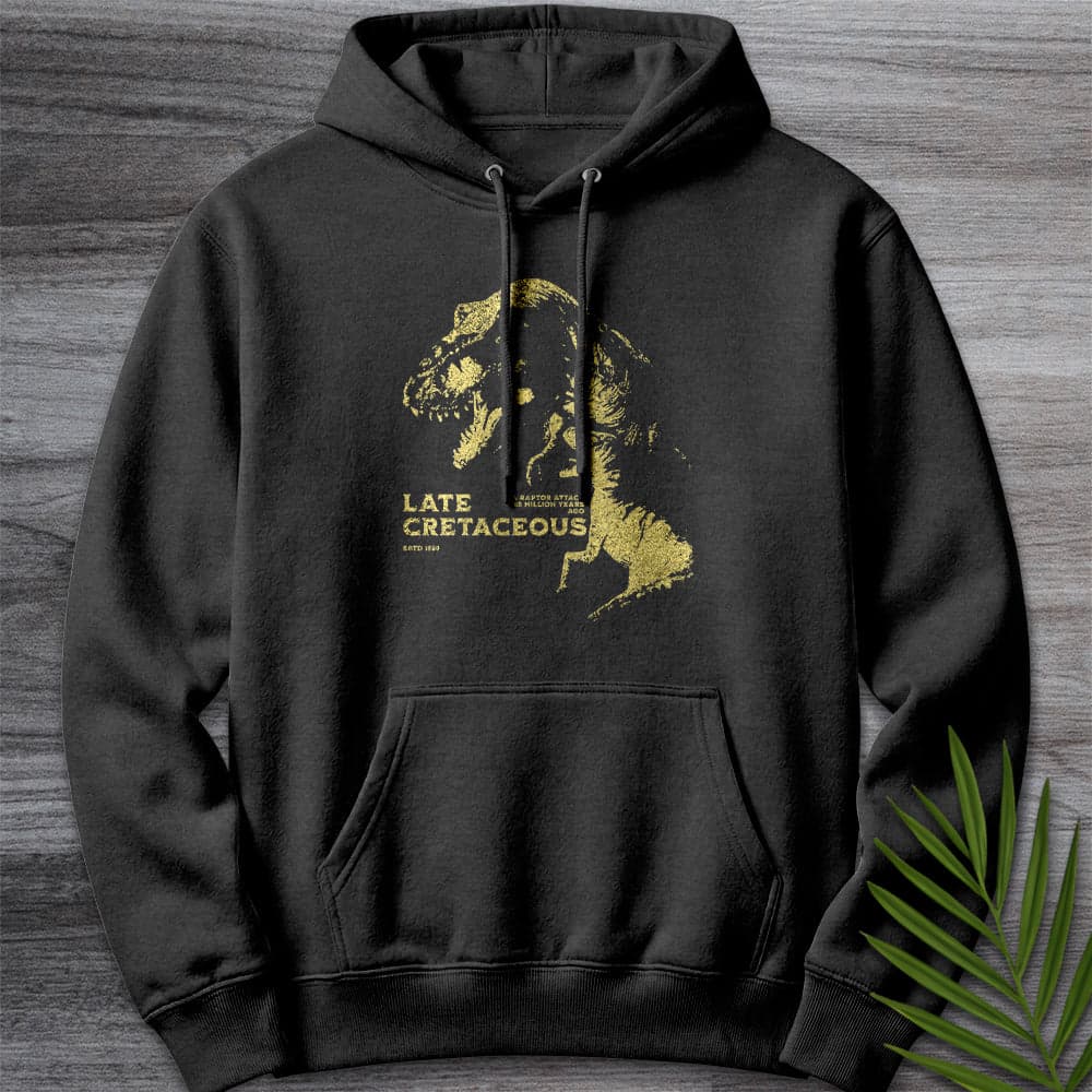 Hoodie XS / Charcoal Heather Vintage Raptor Attack Premium Hoodie