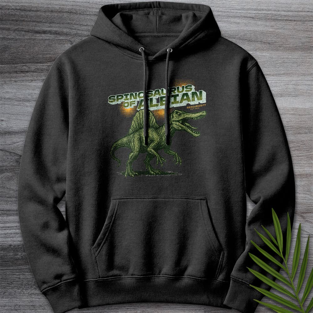 Hoodie XS / Charcoal Heather Vintage Spinosaurus of Albian Premium Hoodie
