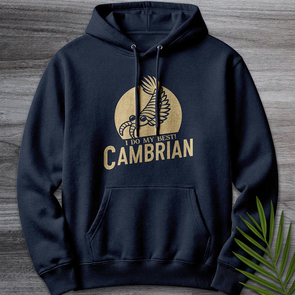 Hoodie XS / Navy Cambrian: I Do My Best Premium Hoodie