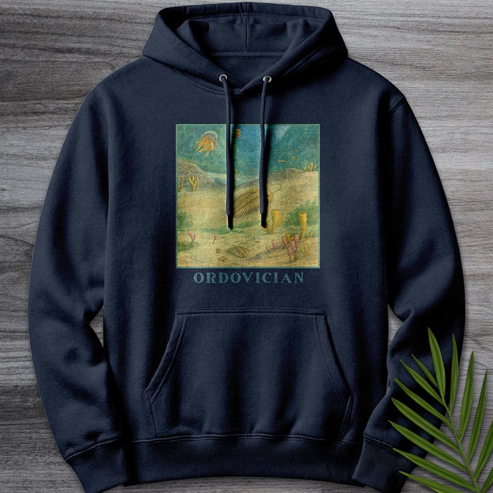 Hoodie XS / Navy Ordovician Seafloor Premium Hoodie