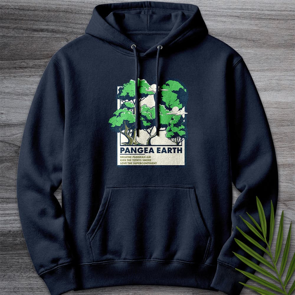 Hoodie XS / Navy Pangea Earth Illustration Premium Hoodie