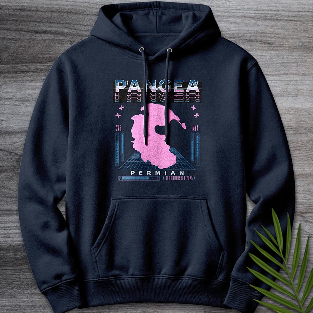 Hoodie XS / Navy Vintage Cyber Pangea Streetwear Premium Hoodie