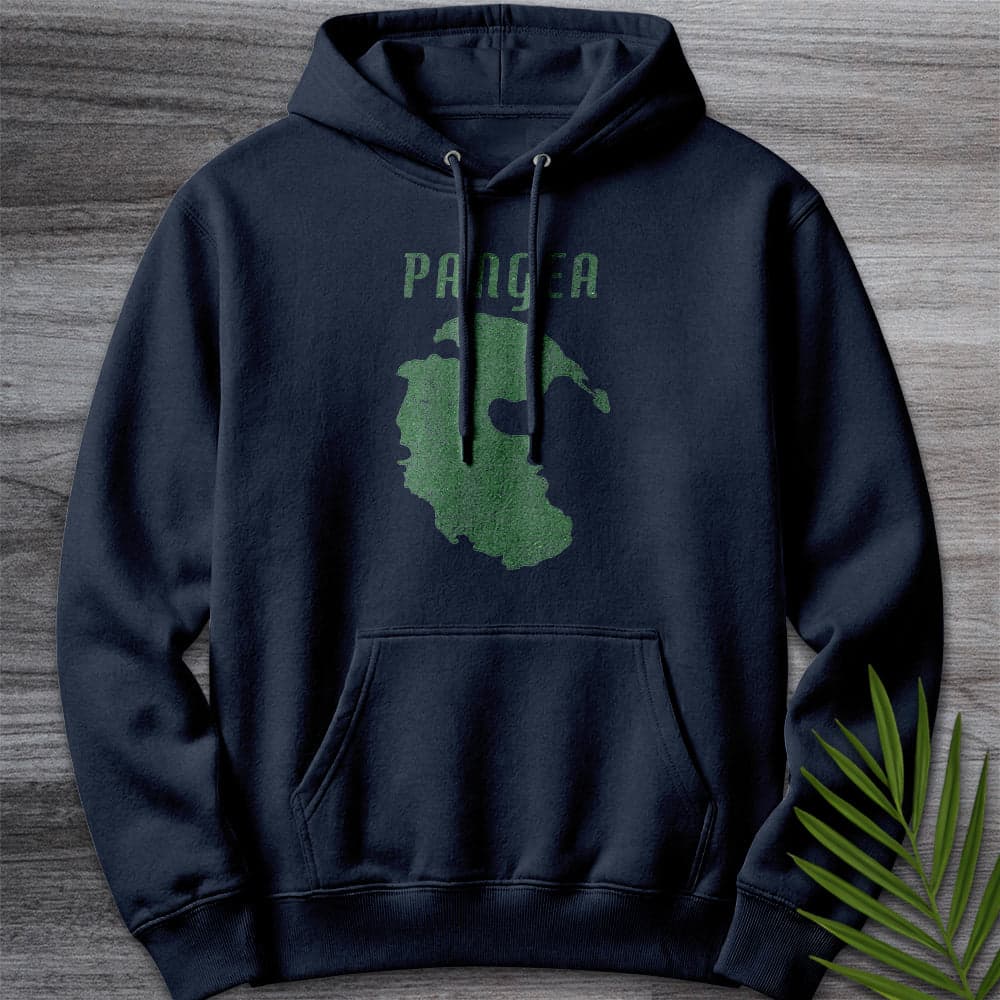 Hoodie XS / Navy Vintage Distressed Pangea Premium Hoodie