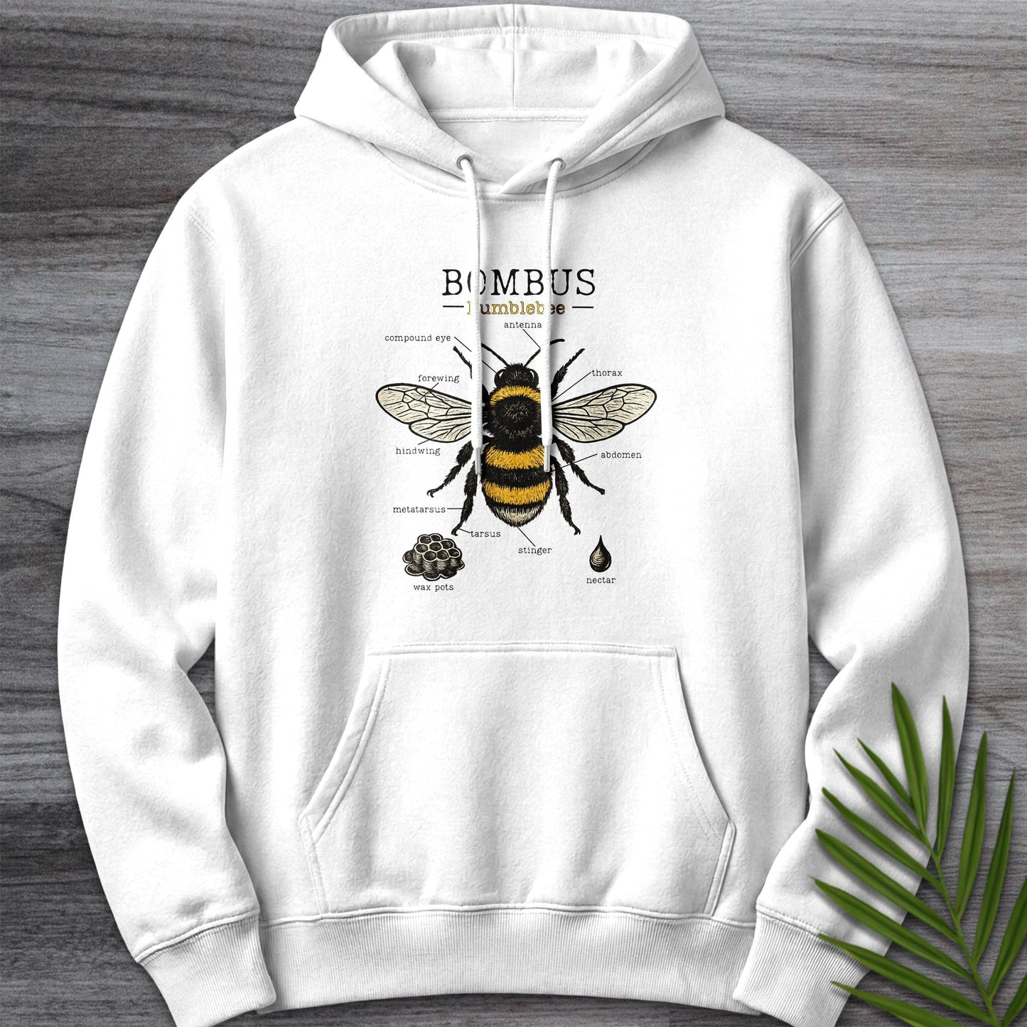 Hoodie XS / White Bombus Bumblebee Anatomy Premium Hoodie
