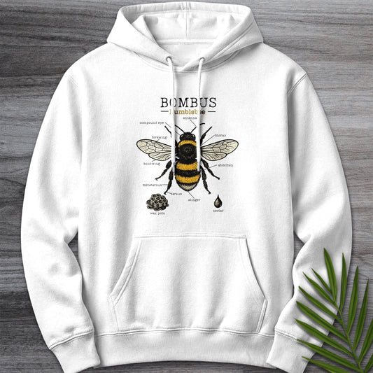 Hoodie XS / White Bombus Bumblebee Anatomy Premium Hoodie