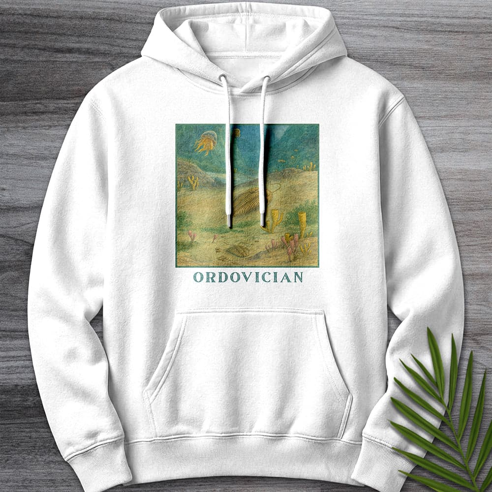 Hoodie XS / White Ordovician Seafloor Premium Hoodie
