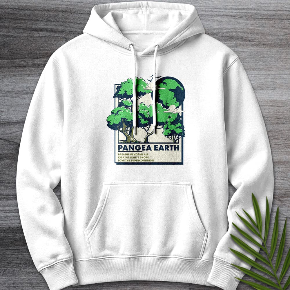 Hoodie XS / White Pangea Earth Illustration Premium Hoodie