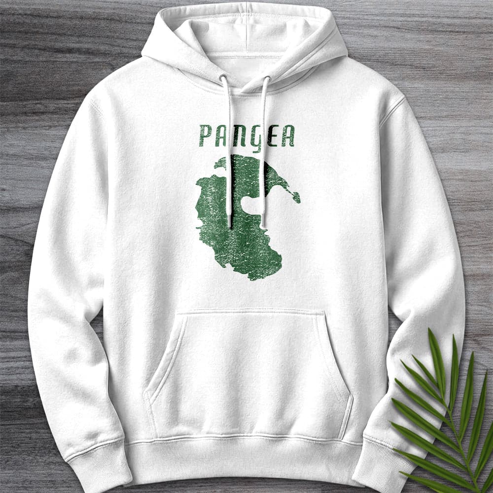 Hoodie XS / White Vintage Distressed Pangea Premium Hoodie