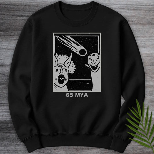 Sweatshirt Black / S A Meteor 65 MYA Crewneck