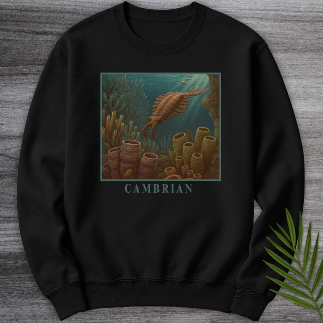 Sweatshirt Black / S Anomalocaris Cambrian Oceanscape Crewneck