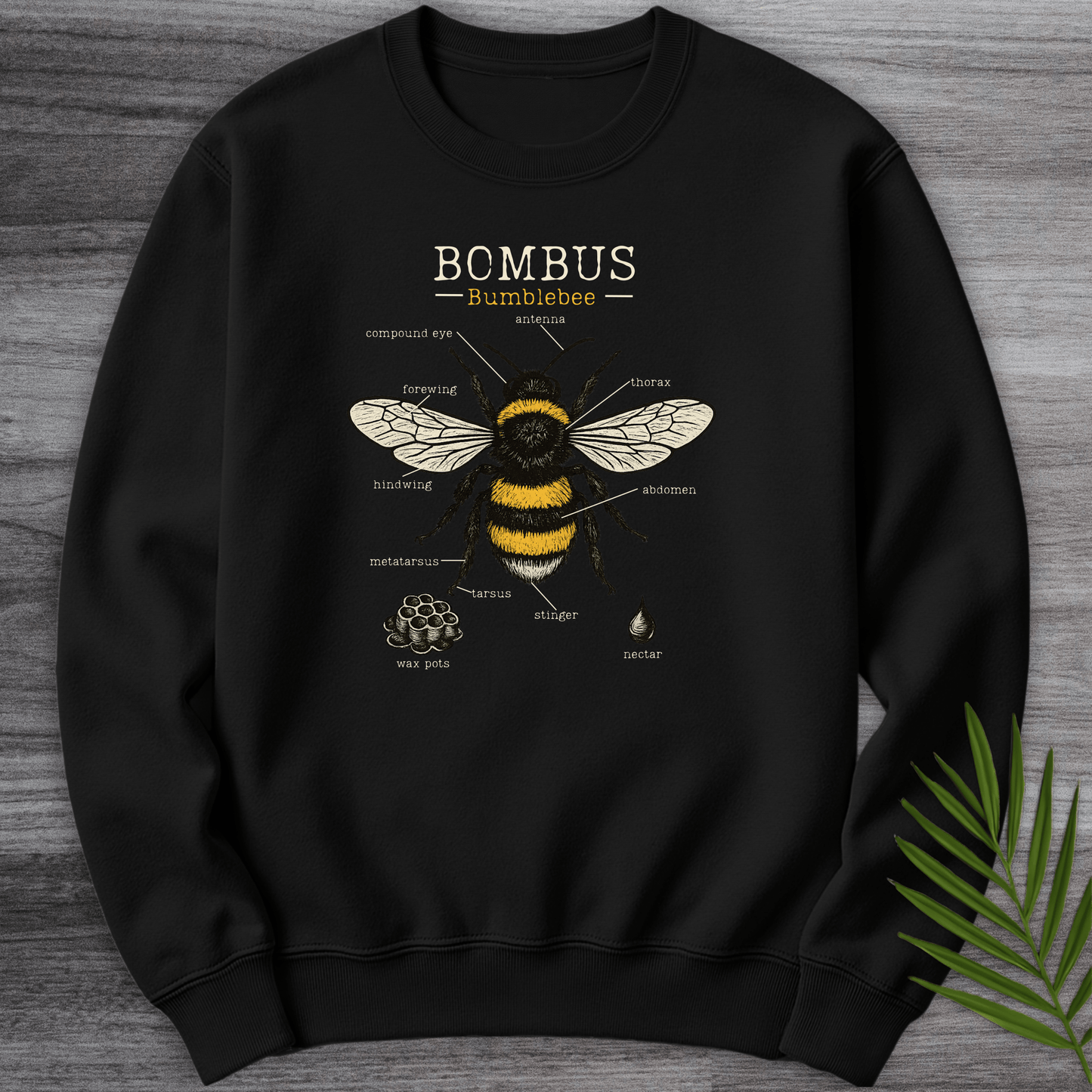 Sweatshirt Black / S Bombus Bumblebee Anatomy Crewneck