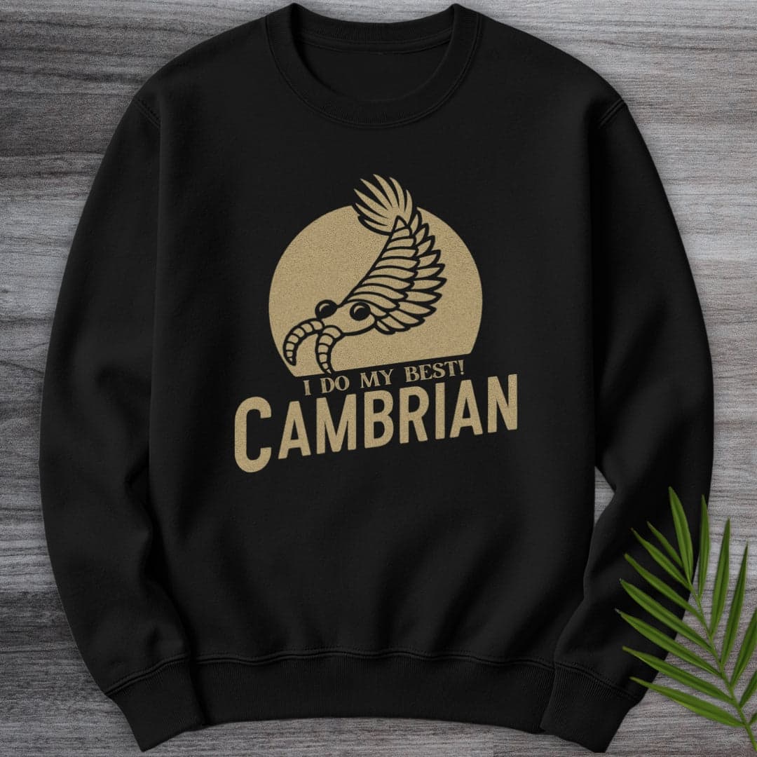 Sweatshirt Black / S Cambrian: I Do My Best Crewneck