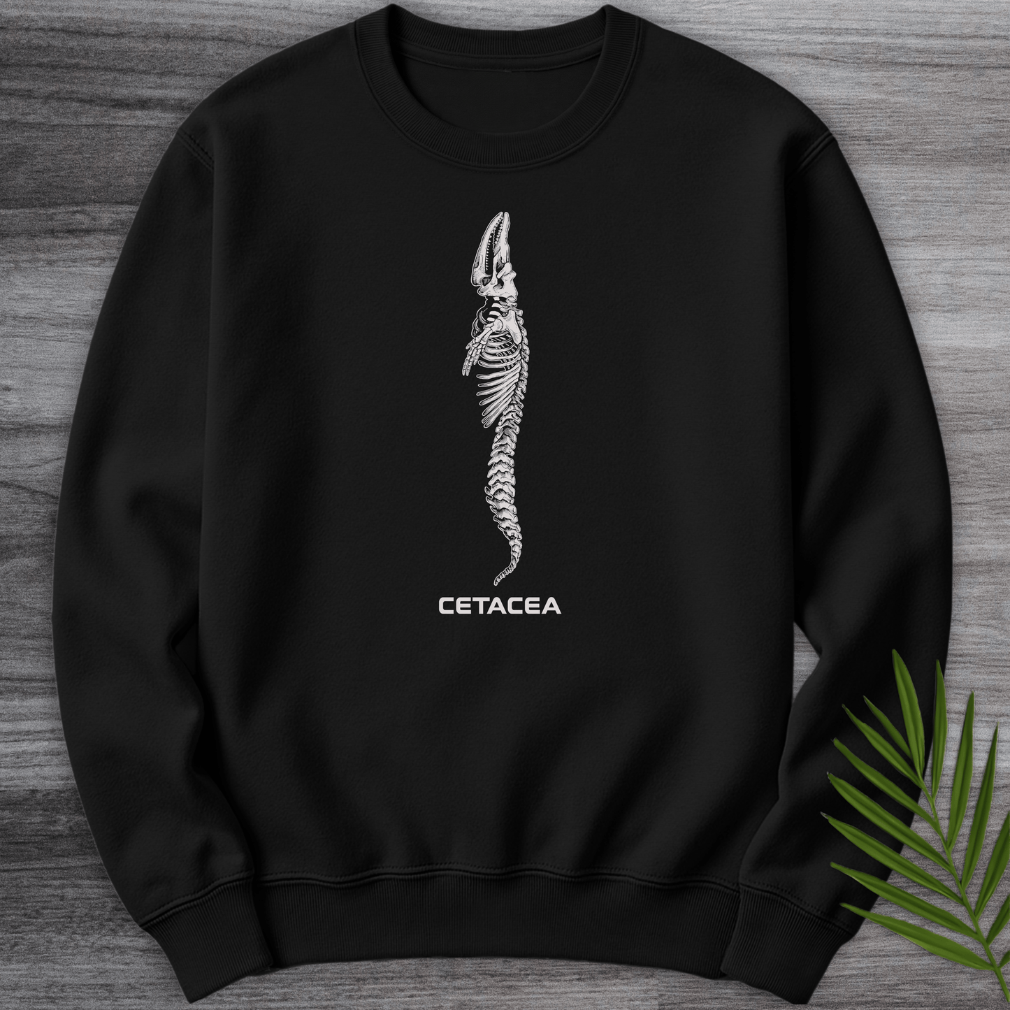Sweatshirt Black / S Cetacea Whale Skeleton Crewneck