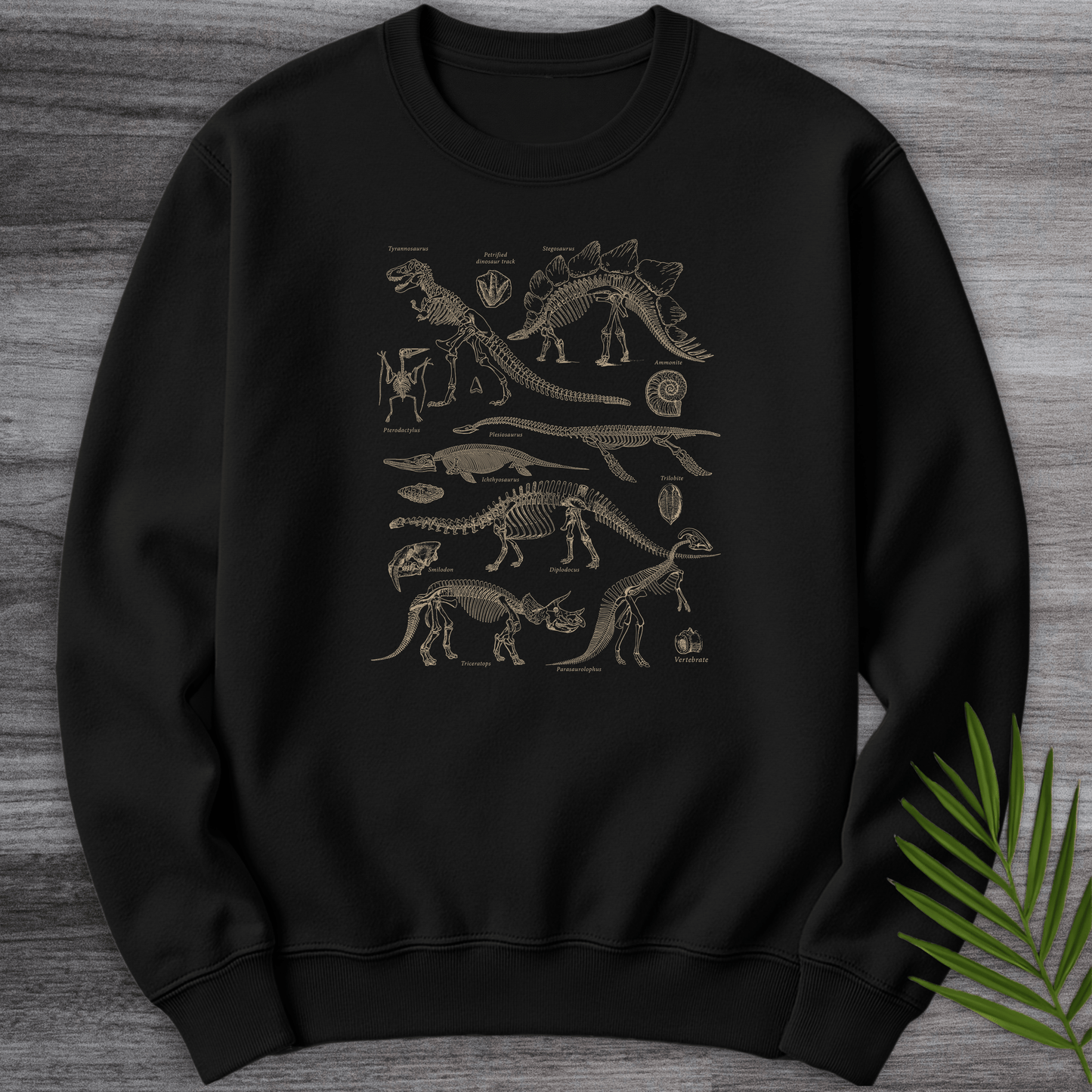 Sweatshirt Black / S Dinosaur Fossils Crewneck