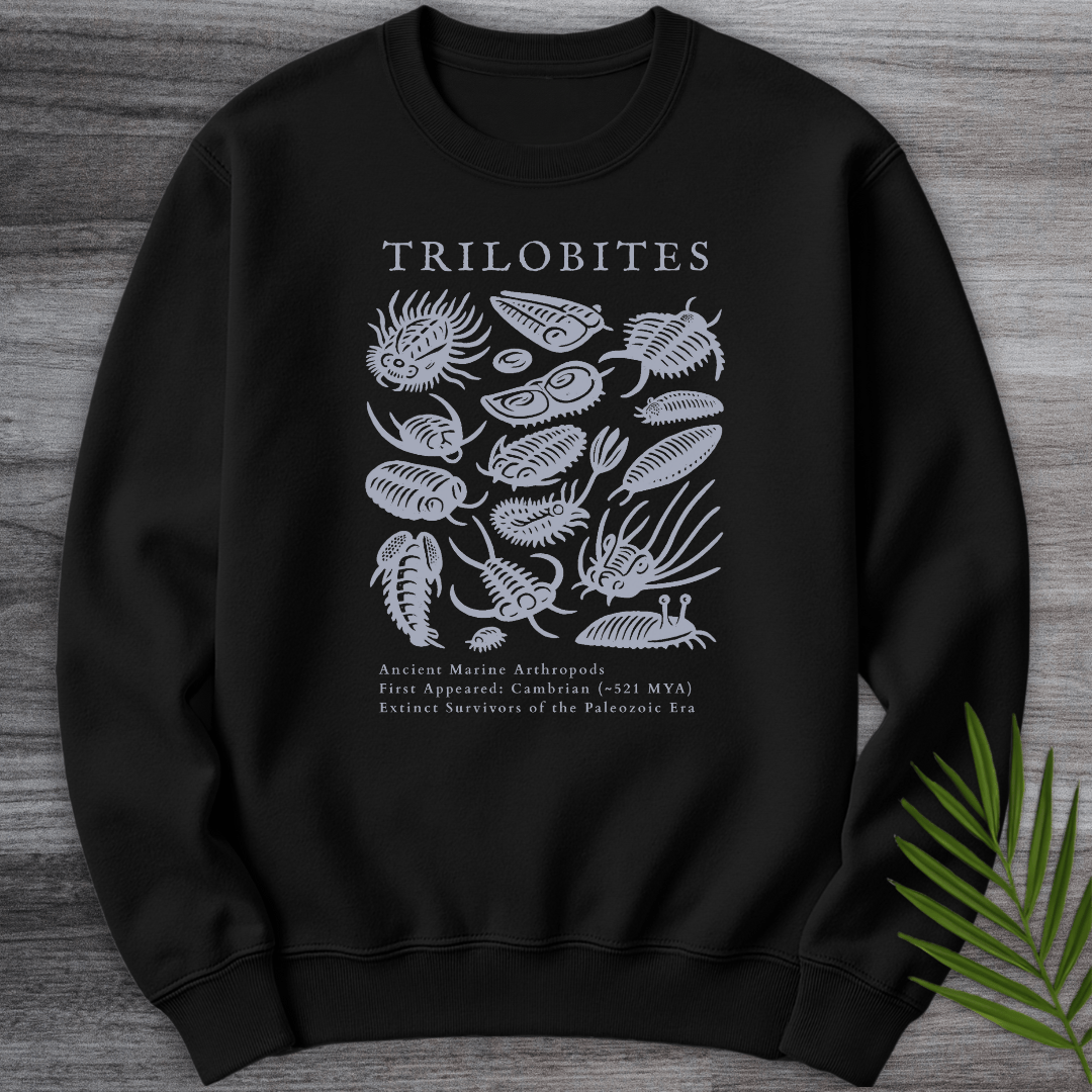Sweatshirt Black / S Elements of the Trilobites Crewneck