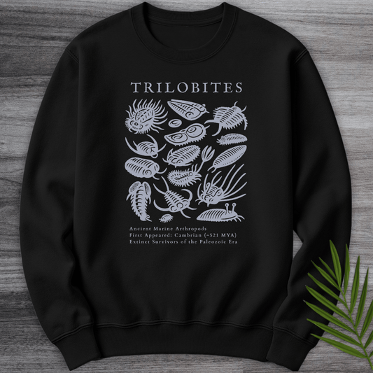 Sweatshirt Black / S Elements of the Trilobites Crewneck