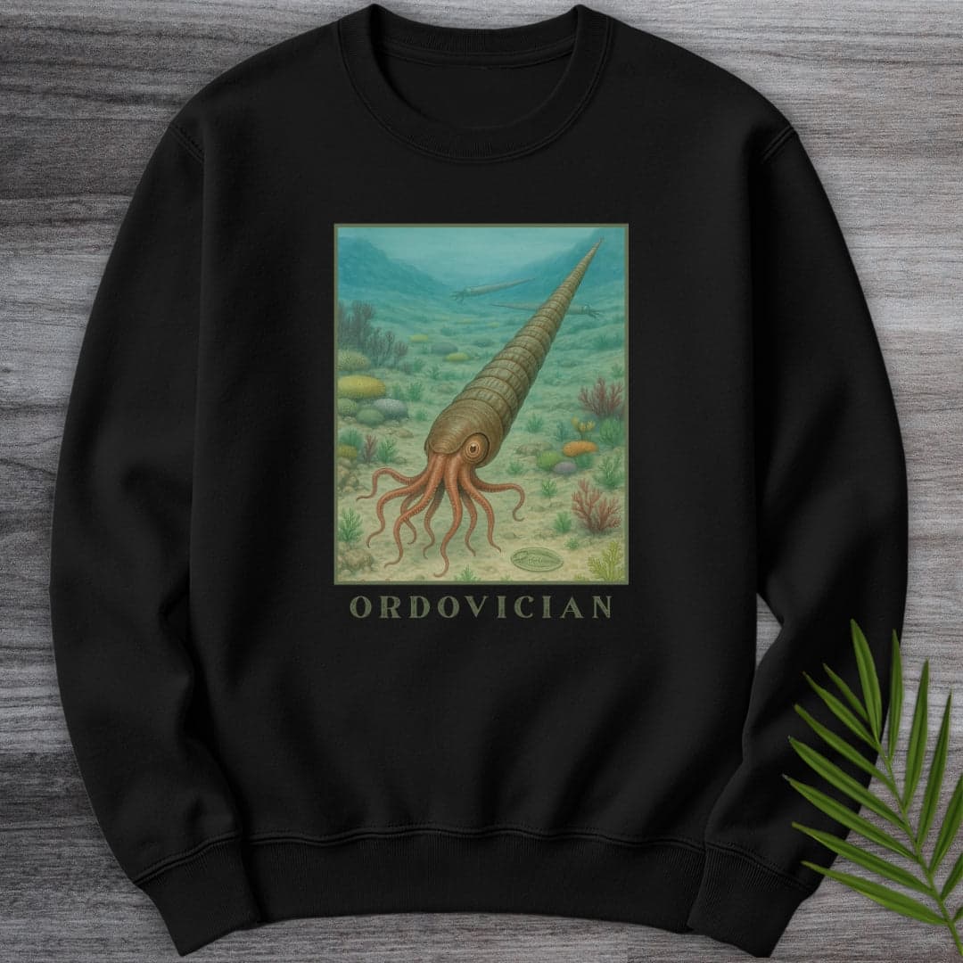 Sweatshirt Black / S Ordovician Depths Crewneck