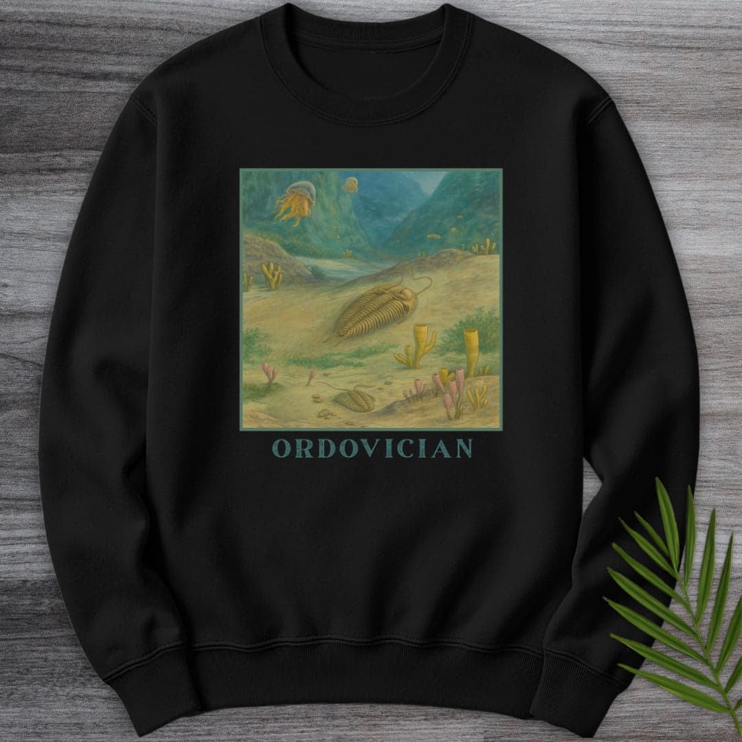 Sweatshirt Black / S Ordovician Seafloor Crewneck