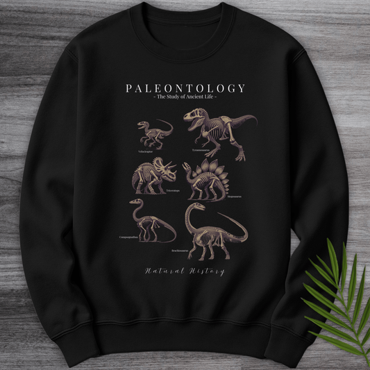Sweatshirt Black / S Paleontology Fossil Education