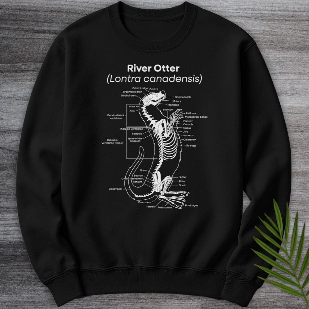 Sweatshirt Black / S River Otter Anatomy Crewneck