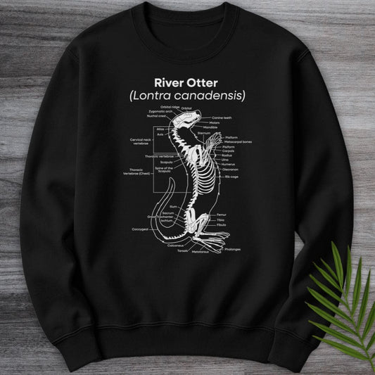 Sweatshirt Black / S River Otter Anatomy Crewneck