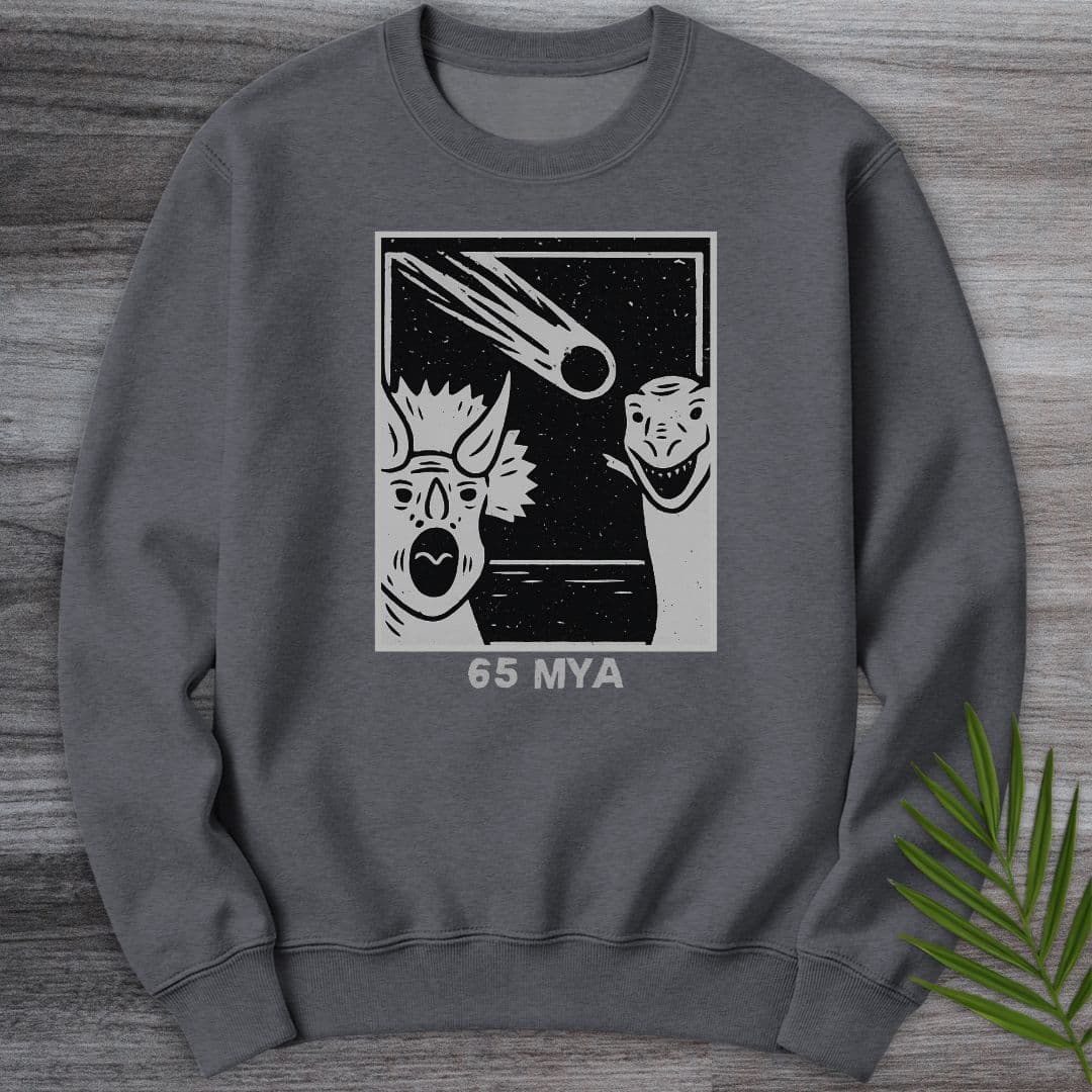 Sweatshirt Dark Heather / S A Meteor 65 MYA Crewneck