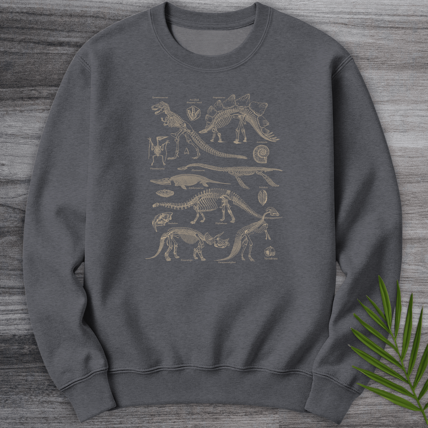 Sweatshirt Dark Heather / S Dinosaur Fossils Crewneck