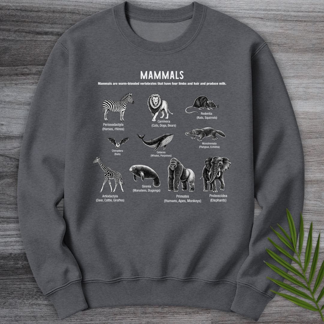 Sweatshirt Dark Heather / S Mammals Education Crewneck