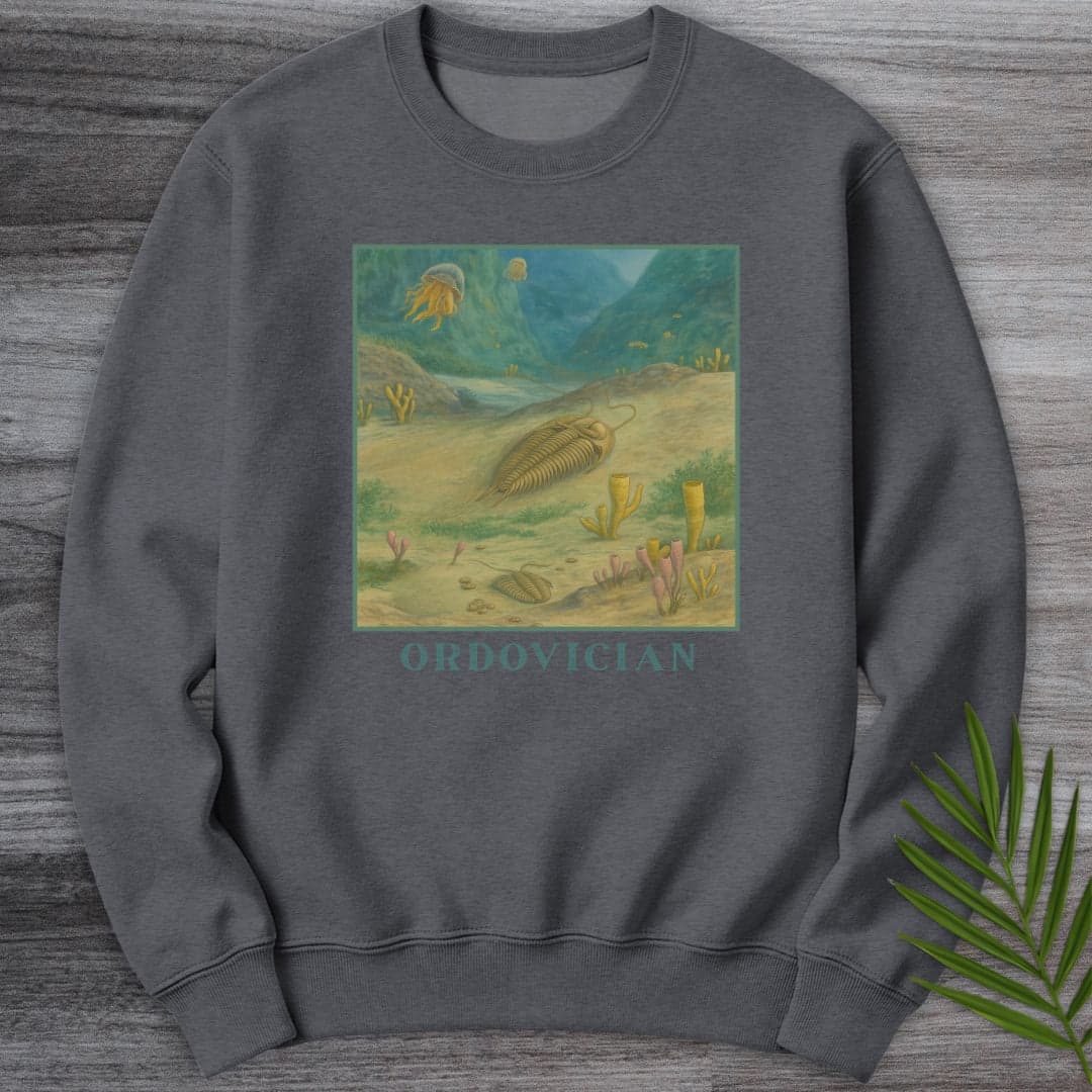 Sweatshirt Dark Heather / S Ordovician Seafloor Crewneck