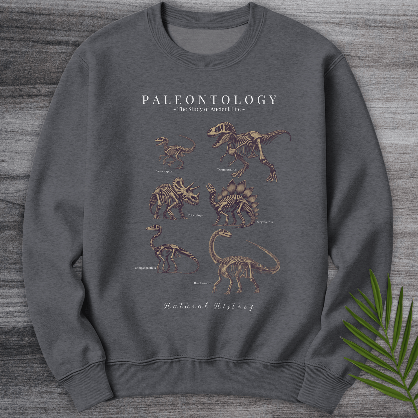 Sweatshirt Dark Heather / S Paleontology Fossil Education