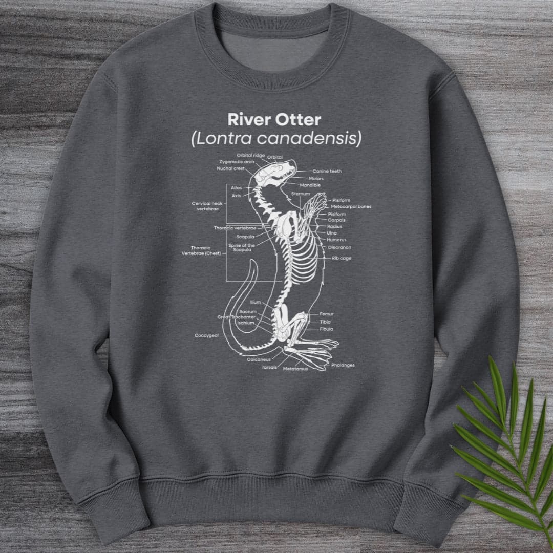 Sweatshirt Dark Heather / S River Otter Anatomy Crewneck