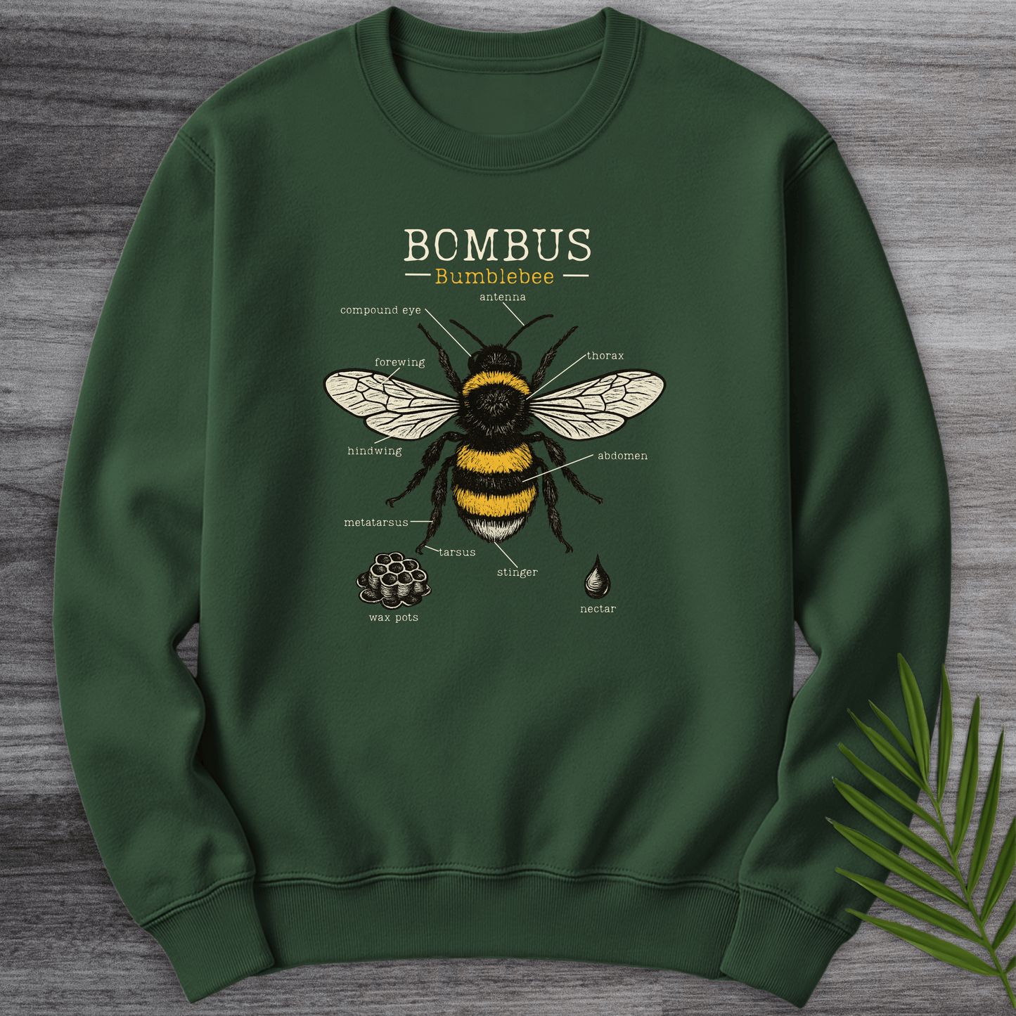 Sweatshirt Forest Green / S Bombus Bumblebee Anatomy Crewneck