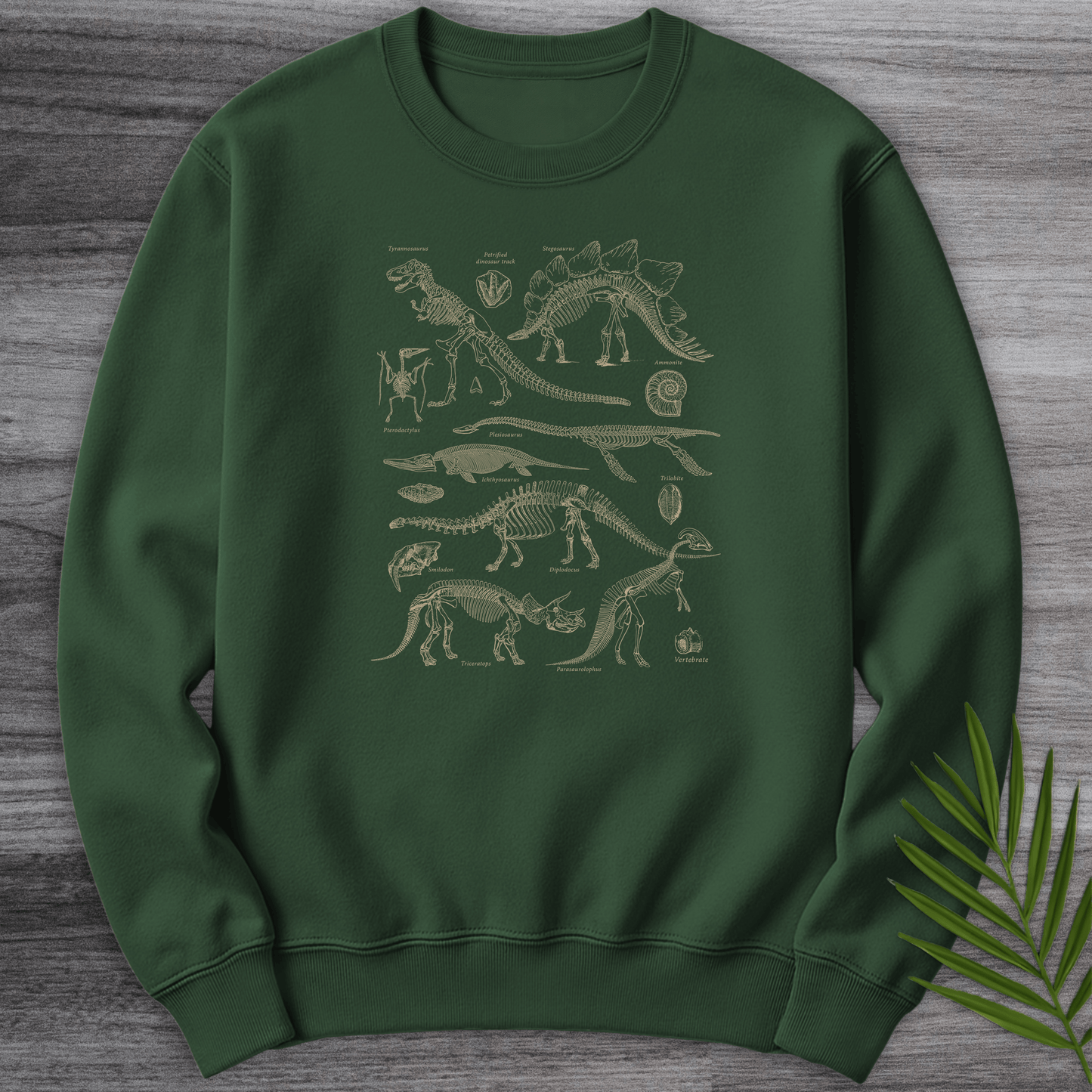 Sweatshirt Forest Green / S Dinosaur Fossils Crewneck