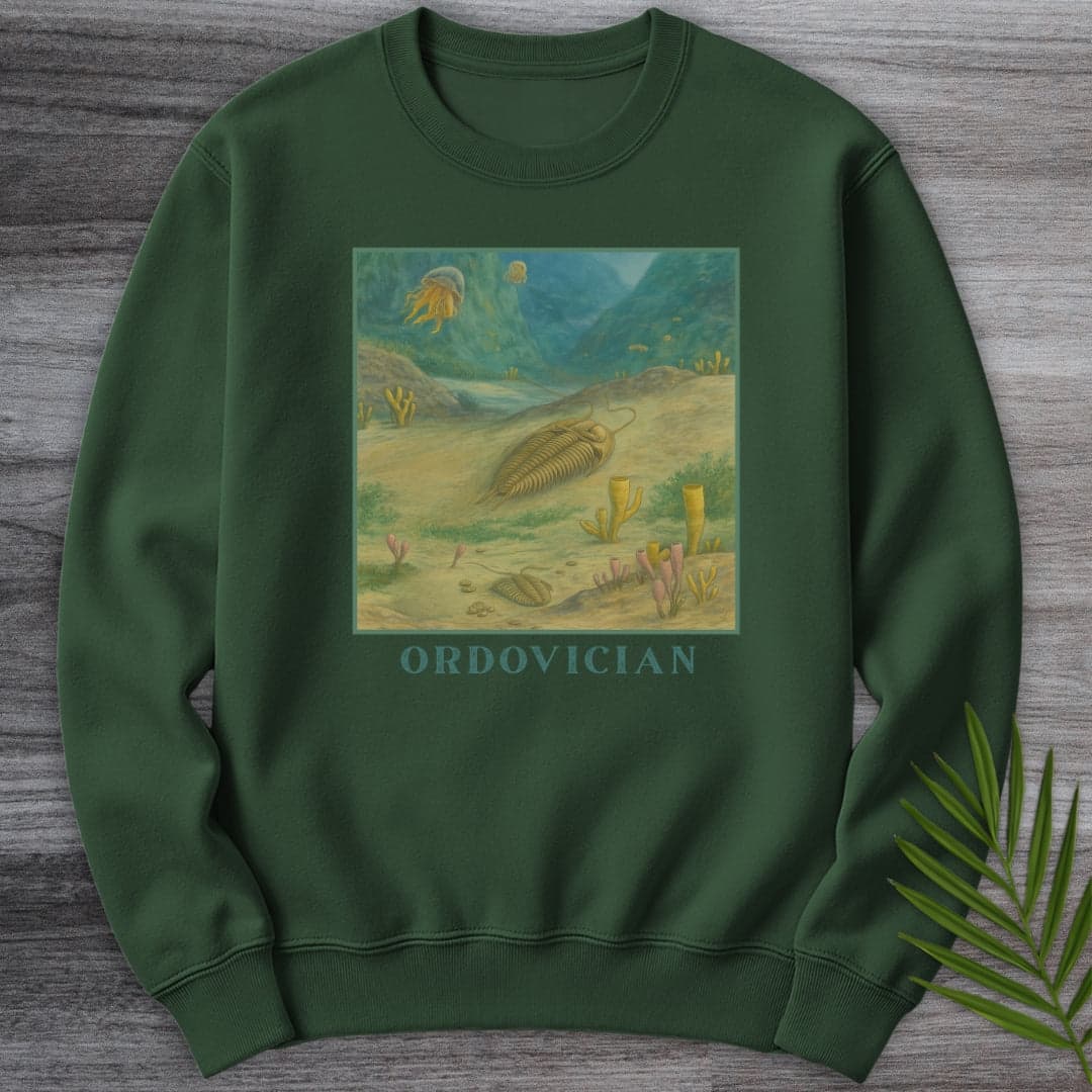 Sweatshirt Forest Green / S Ordovician Seafloor Crewneck