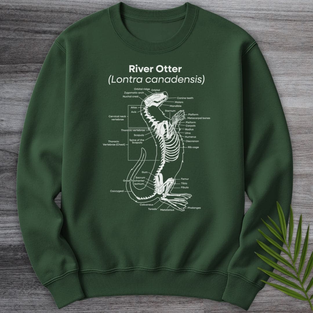 Sweatshirt Forest Green / S River Otter Anatomy Crewneck