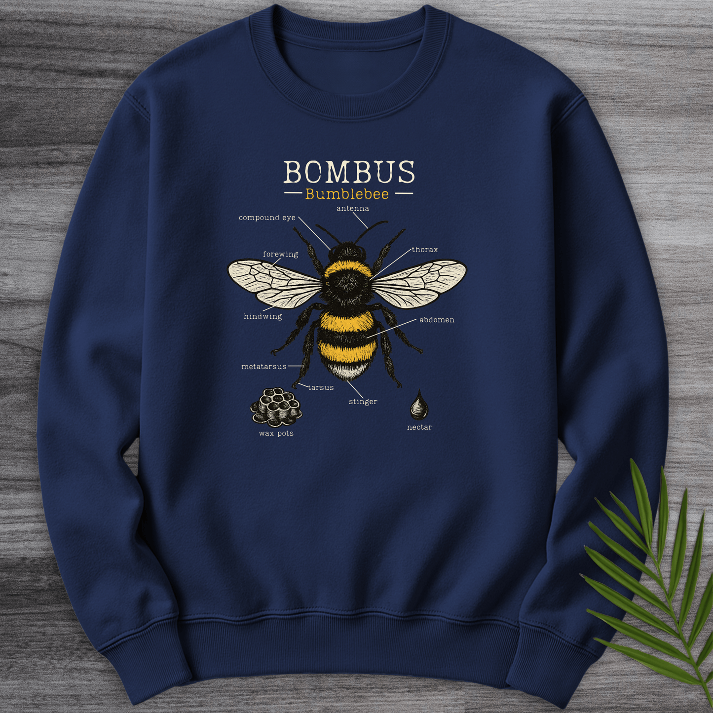 Sweatshirt Navy / S Bombus Bumblebee Anatomy Crewneck