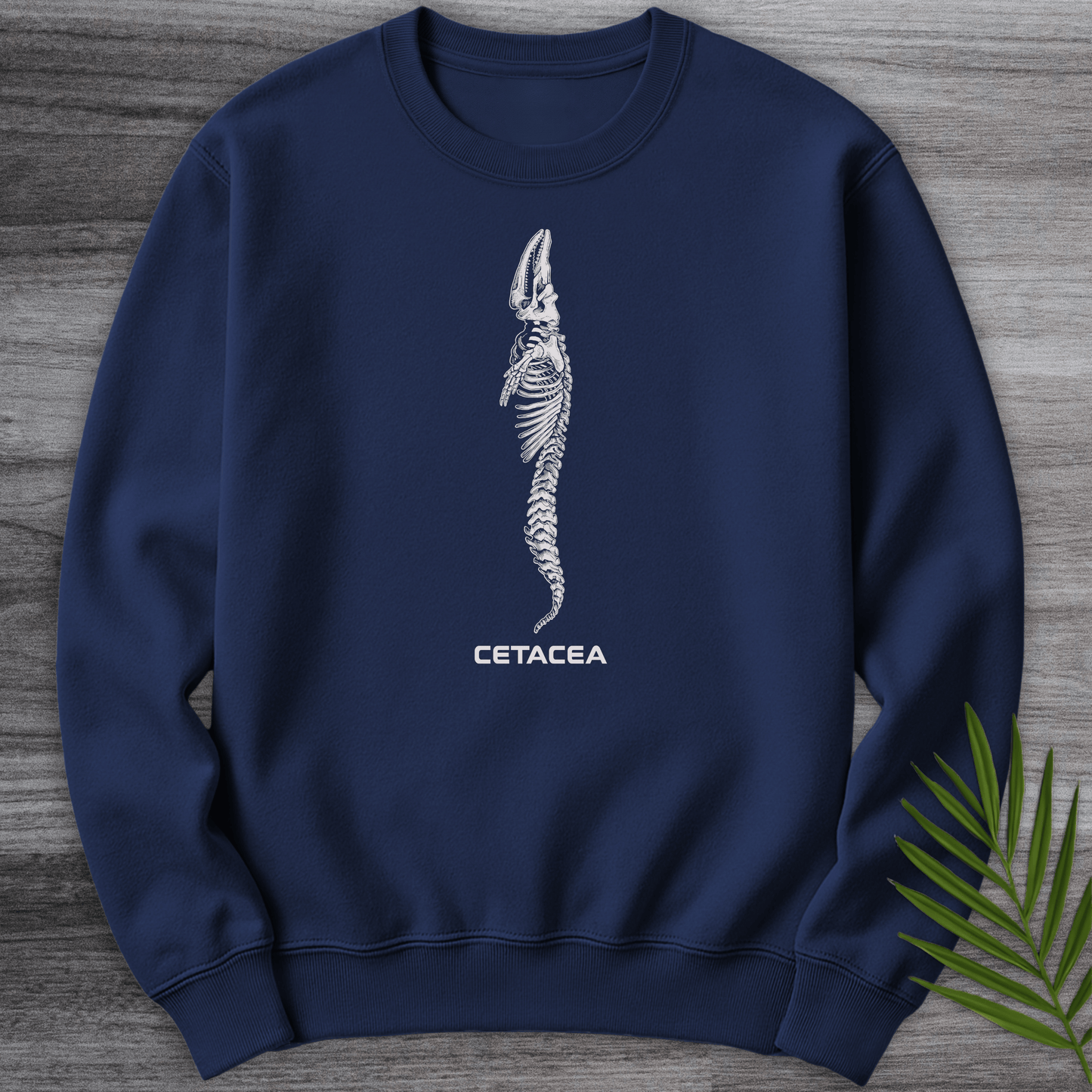 Sweatshirt Navy / S Cetacea Whale Skeleton Crewneck