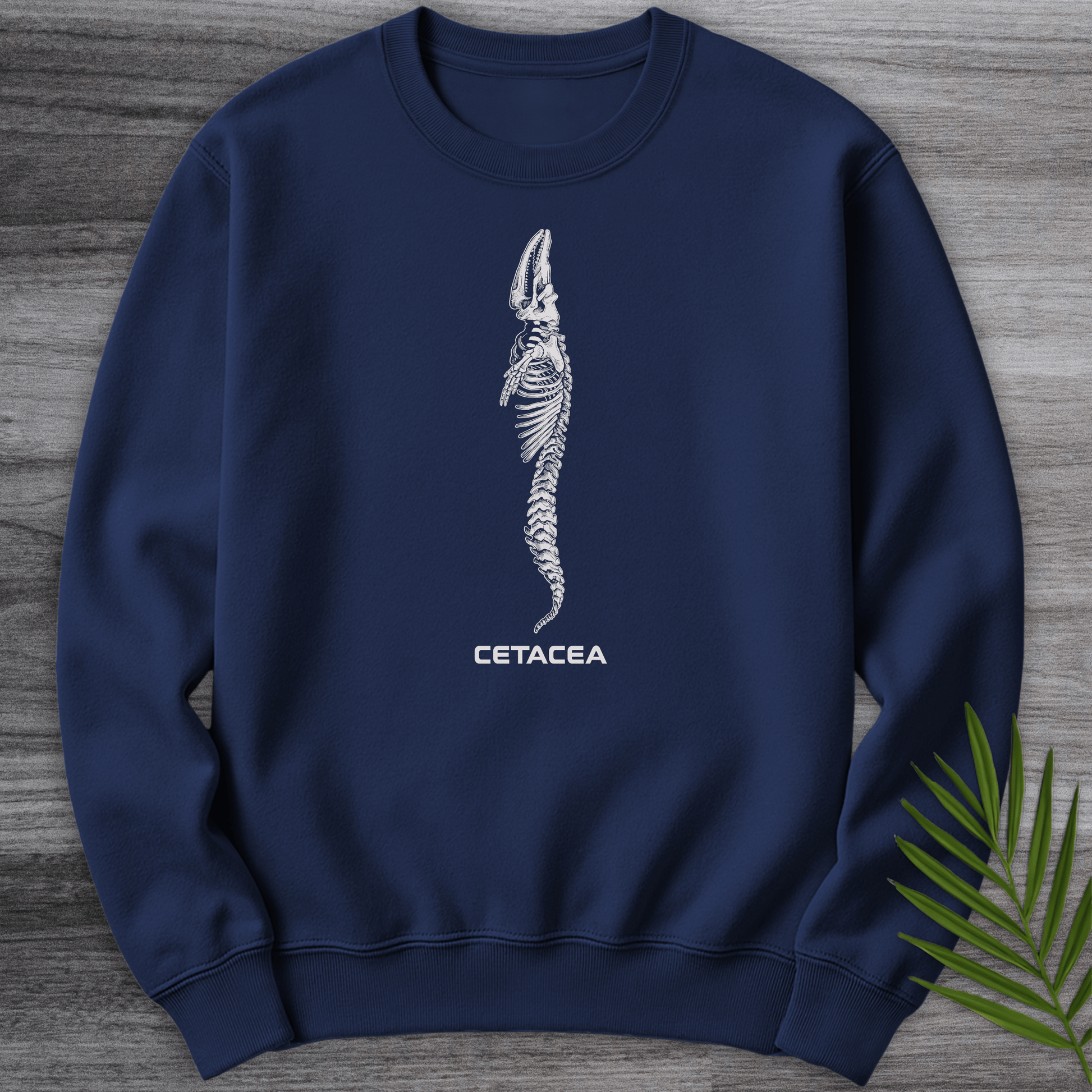 Sweatshirt Navy / S Cetacea Whale Skeleton Crewneck