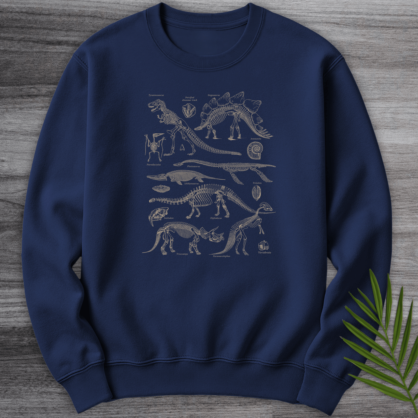 Sweatshirt Navy / S Dinosaur Fossils Crewneck