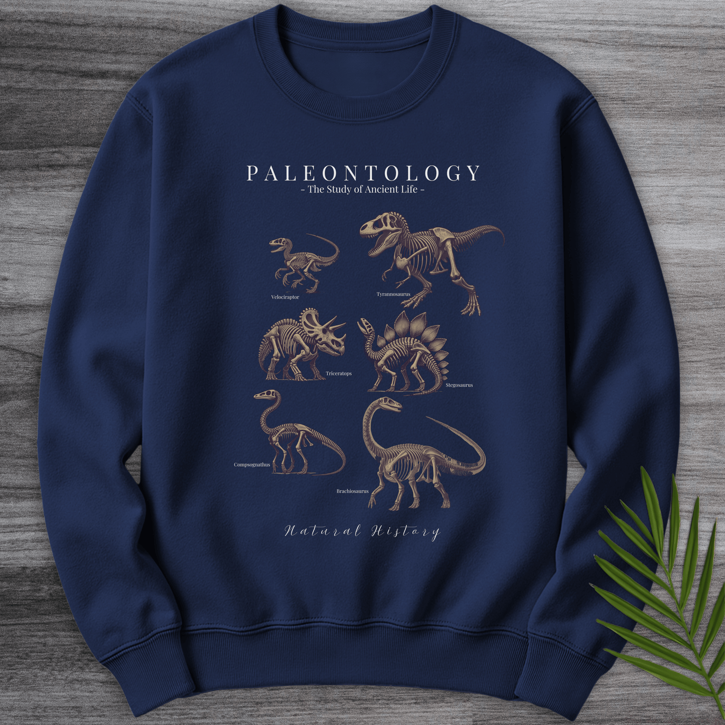 Sweatshirt Navy / S Paleontology Fossil Education