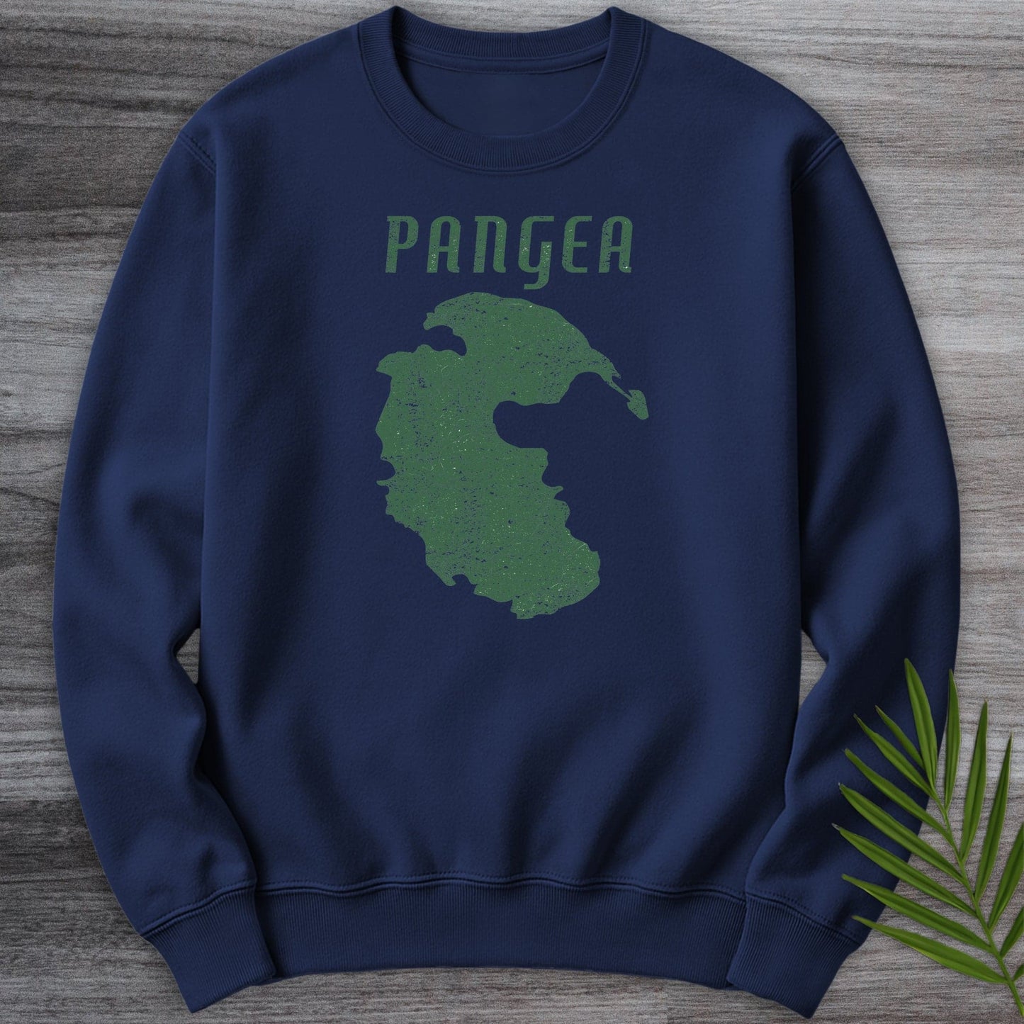 Sweatshirt Navy / S Vintage Distressed Pangea Crewneck