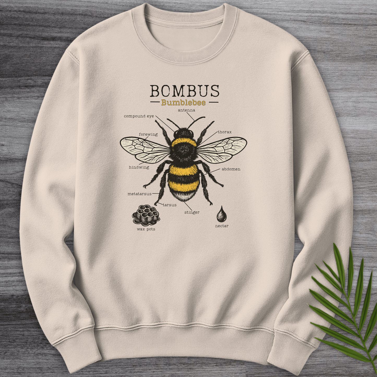 Sweatshirt Sand / S Bombus Bumblebee Anatomy Crewneck