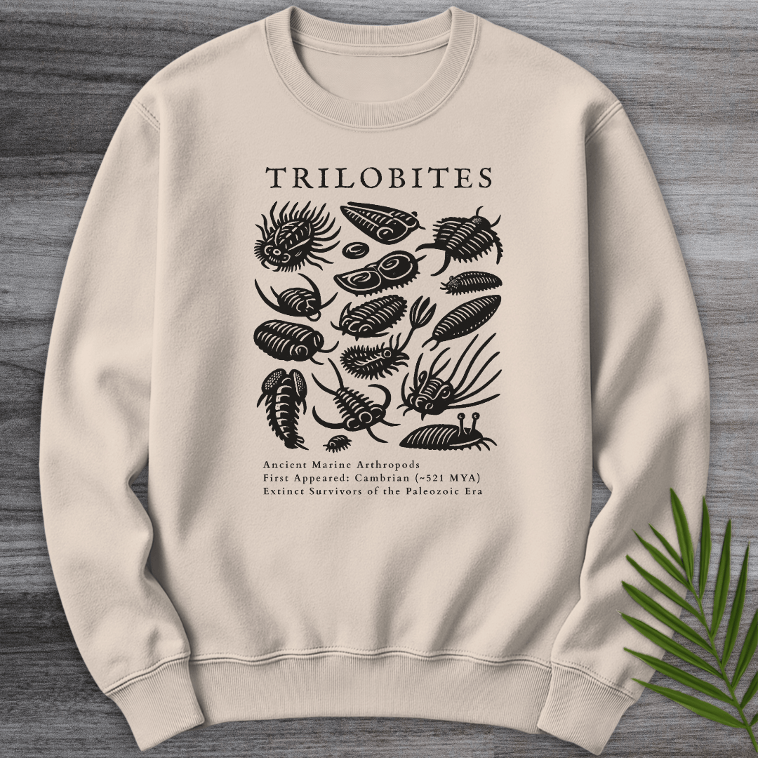 Sweatshirt Sand / S Elements of the Trilobites Crewneck