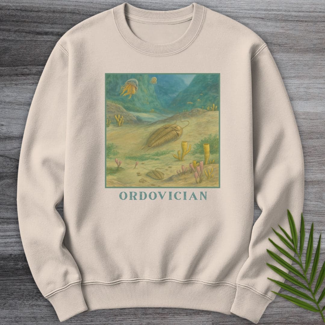 Sweatshirt Sand / S Ordovician Seafloor Crewneck