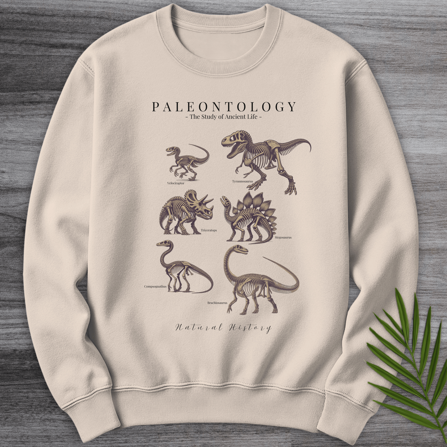 Sweatshirt Sand / S Paleontology Fossil Education