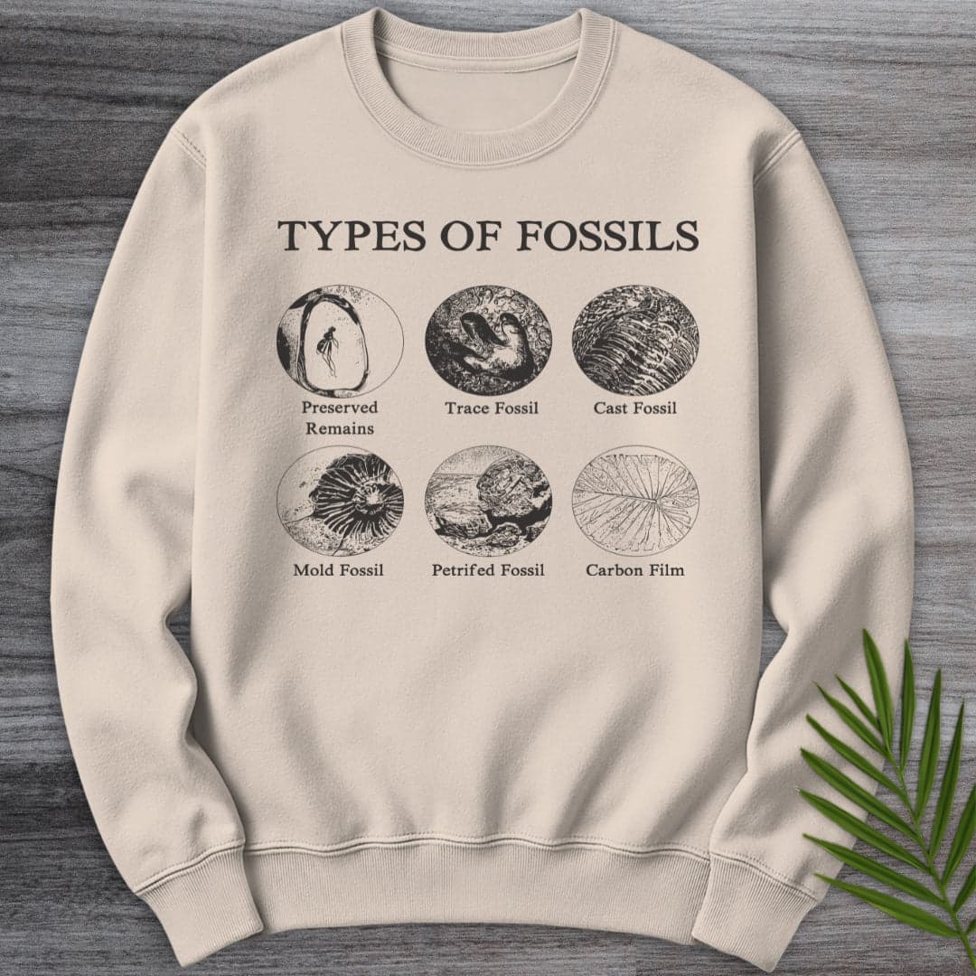 Sweatshirt Sand / S Types of Fossils Crewneck