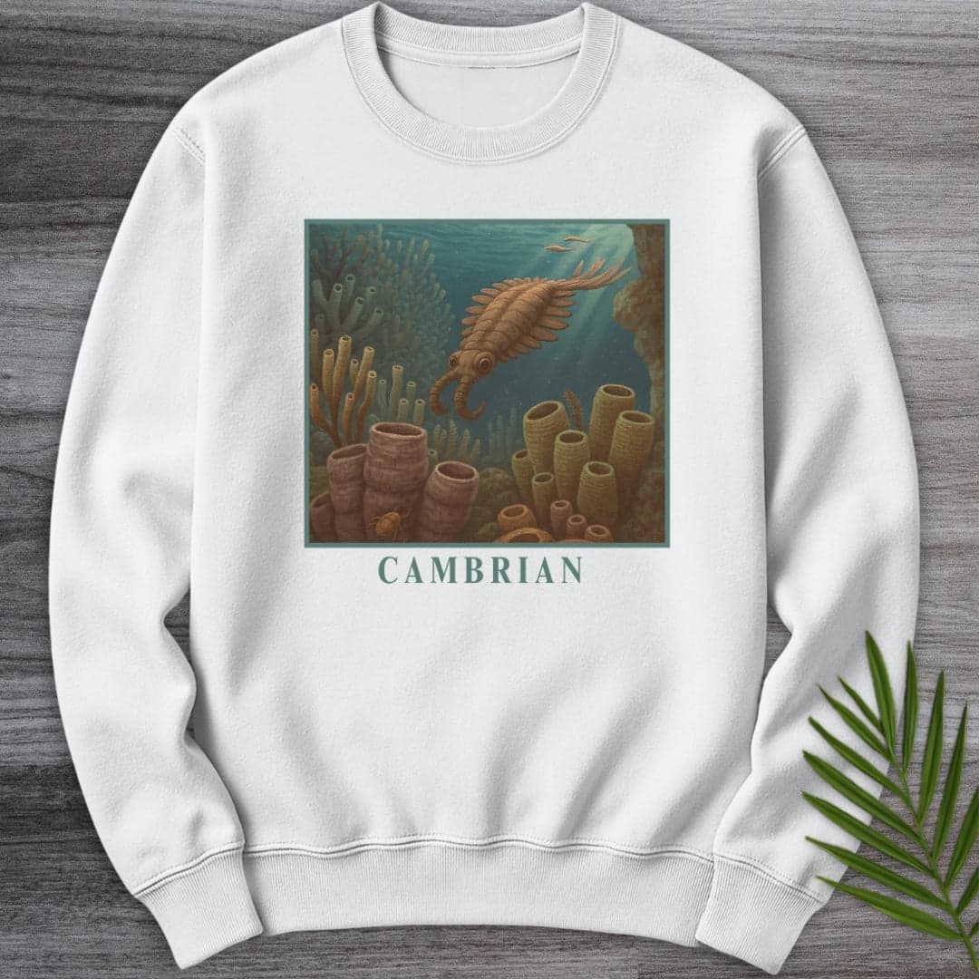 Sweatshirt White / S Anomalocaris Cambrian Oceanscape Crewneck