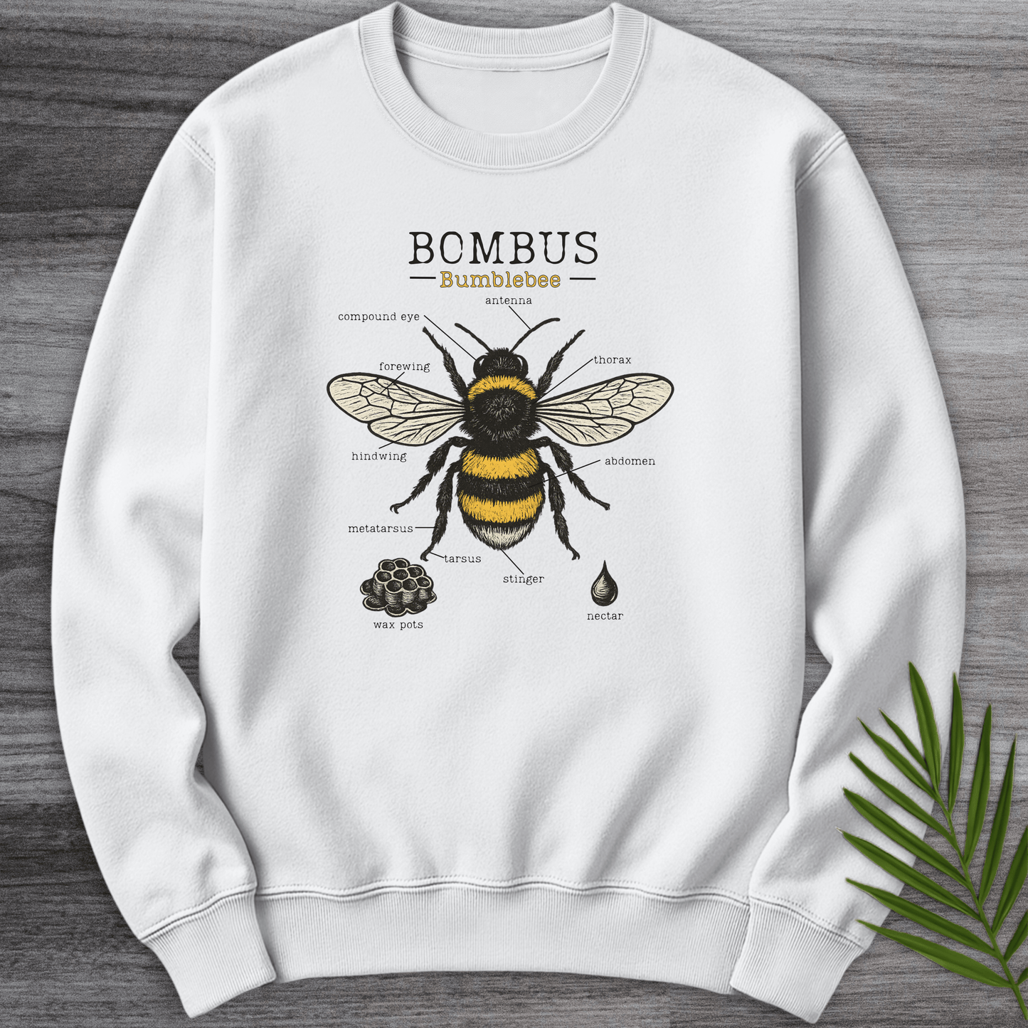 Sweatshirt White / S Bombus Bumblebee Anatomy Crewneck