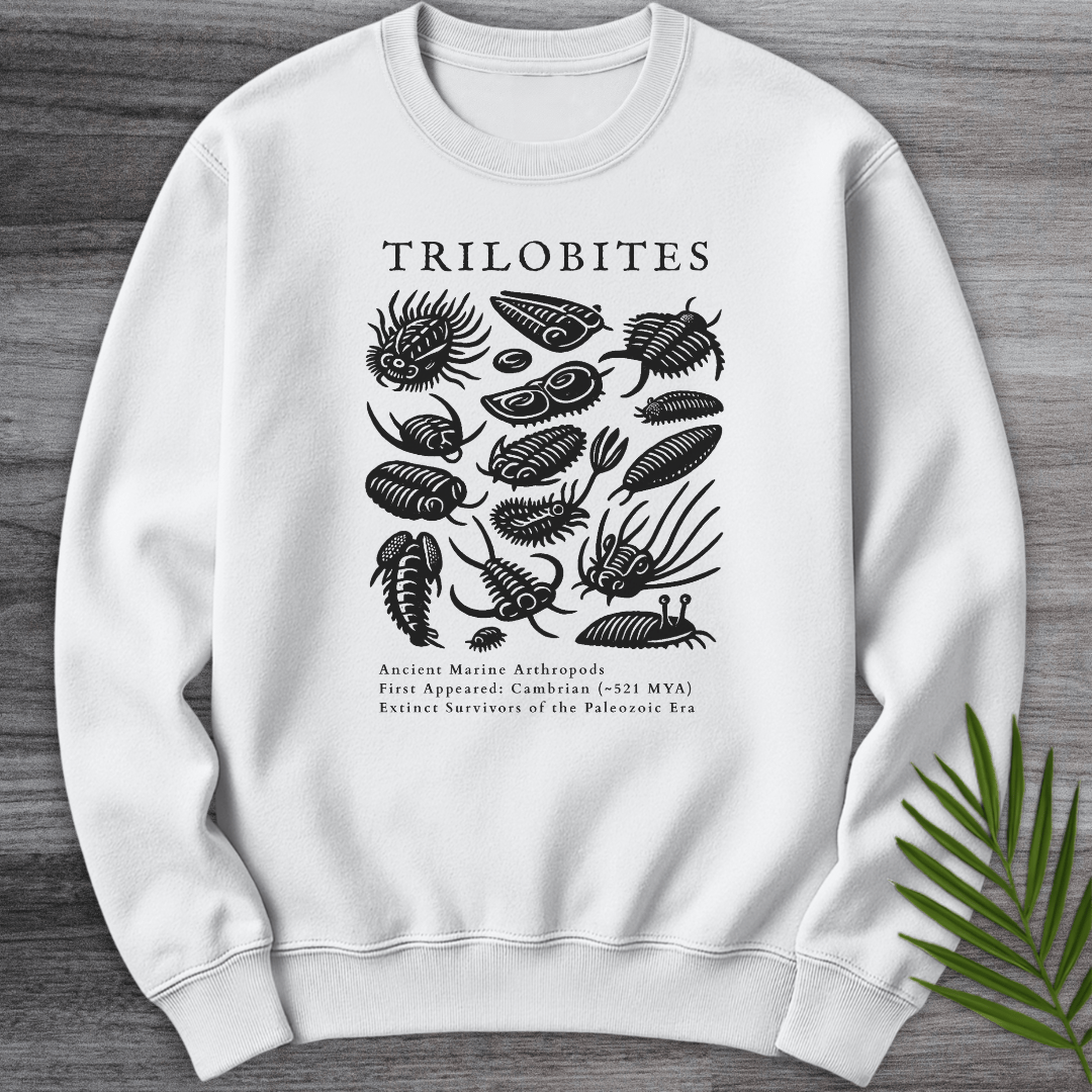 Sweatshirt White / S Elements of the Trilobites Crewneck