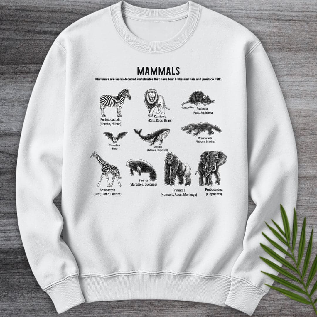Sweatshirt White / S Mammals Education Crewneck